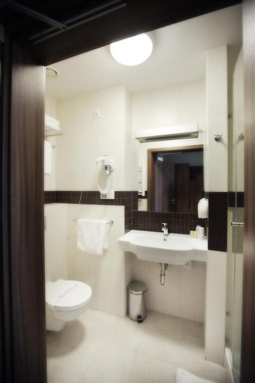Hotel Termy Palacowe Nałęczów Oda fotoğraf